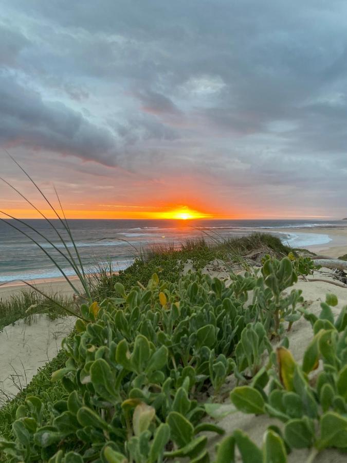 Soutelande Country Stay - Close To 1#Beach In Pe Port Elizabeth Zewnętrze zdjęcie