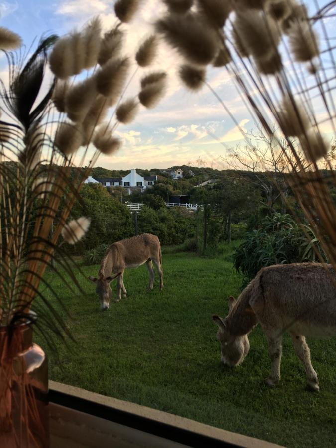 Soutelande Country Stay - Close To 1#Beach In Pe Port Elizabeth Zewnętrze zdjęcie