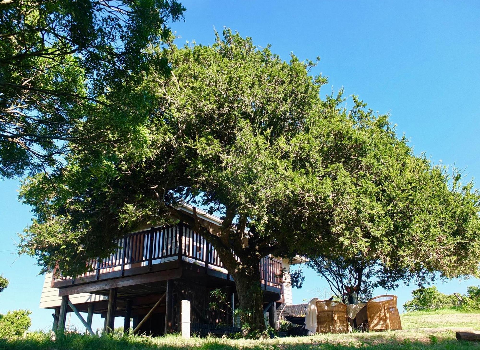 Soutelande Country Stay - Close To 1#Beach In Pe Port Elizabeth Zewnętrze zdjęcie