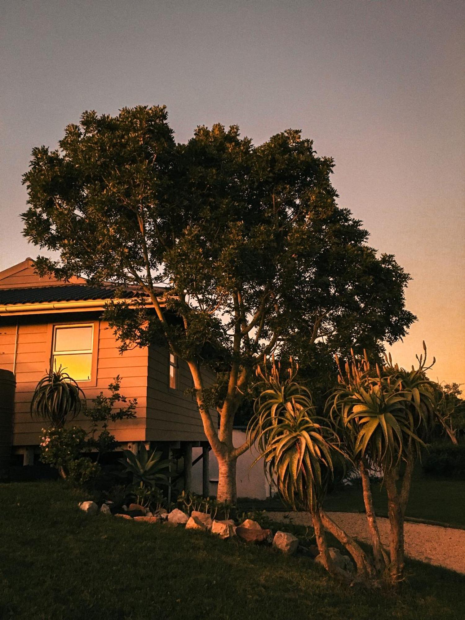 Soutelande Country Stay - Close To 1#Beach In Pe Port Elizabeth Zewnętrze zdjęcie
