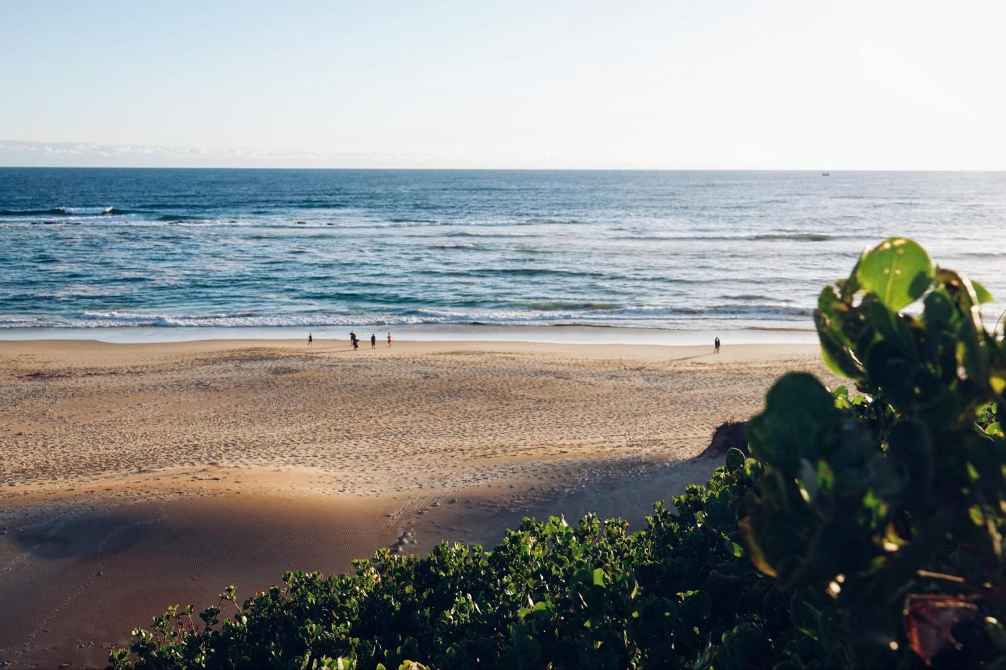 Soutelande Country Stay - Close To 1#Beach In Pe Port Elizabeth Zewnętrze zdjęcie