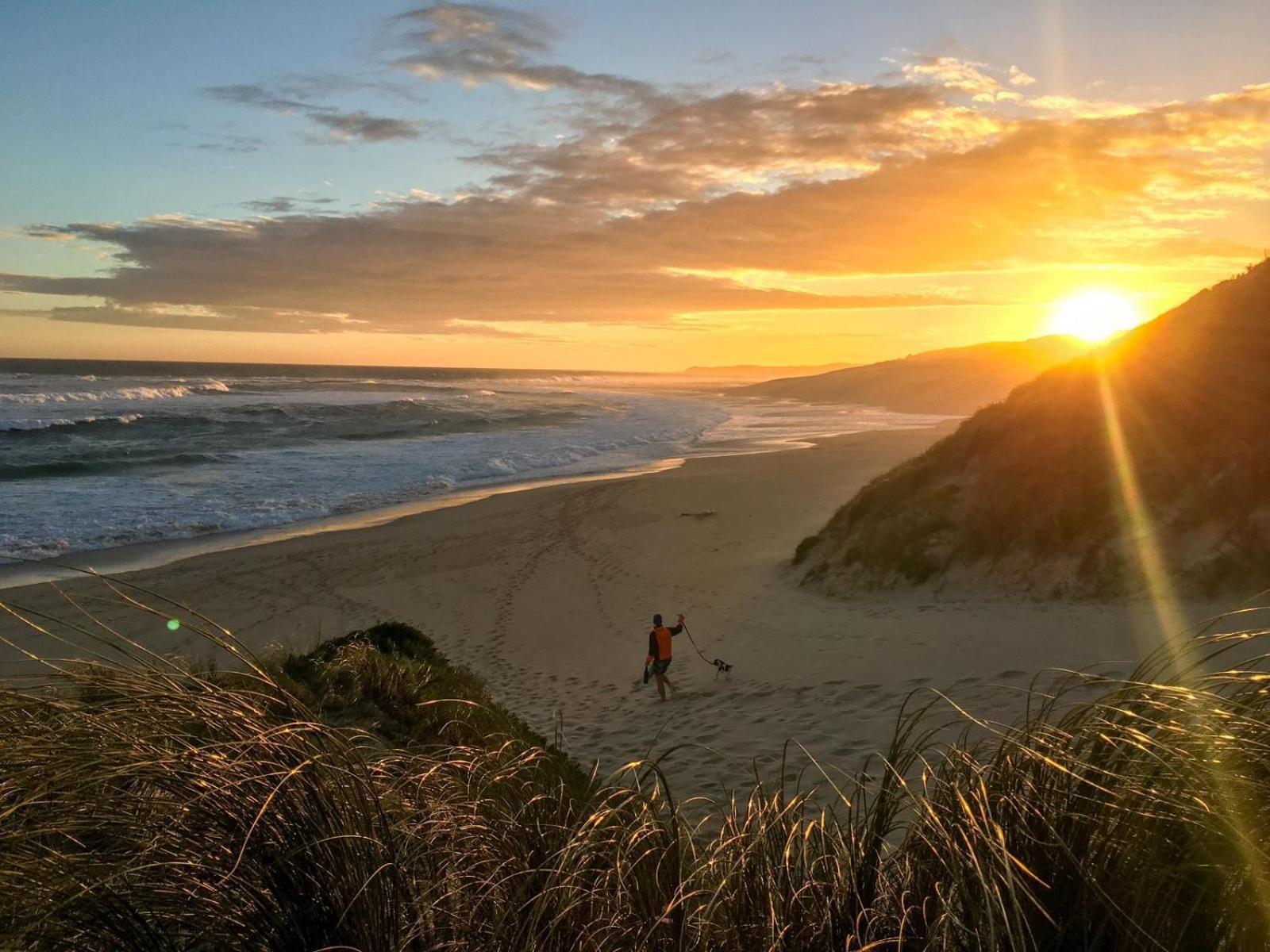 Soutelande Country Stay - Close To 1#Beach In Pe Port Elizabeth Zewnętrze zdjęcie